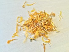 Calendula, Calendula