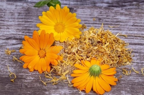 Organic pure calendula flowers - organic,