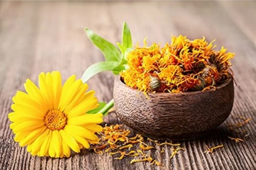 Organic pure calendula flowers - calendula,