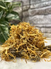 2oz Calendula 10%Natural