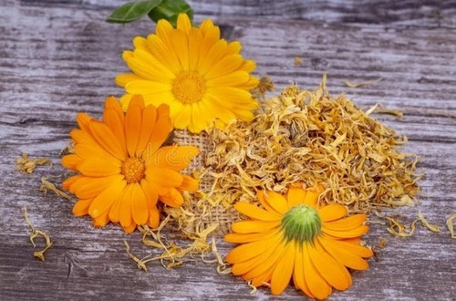 Organic pure calendula flowers - pure,